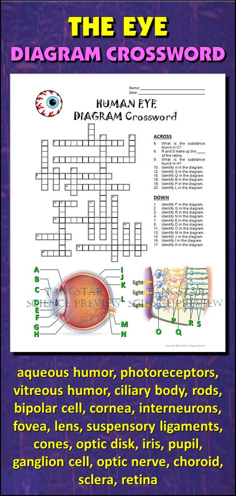 eye mask crossword clue|Eye mask (9) Crossword Clue .